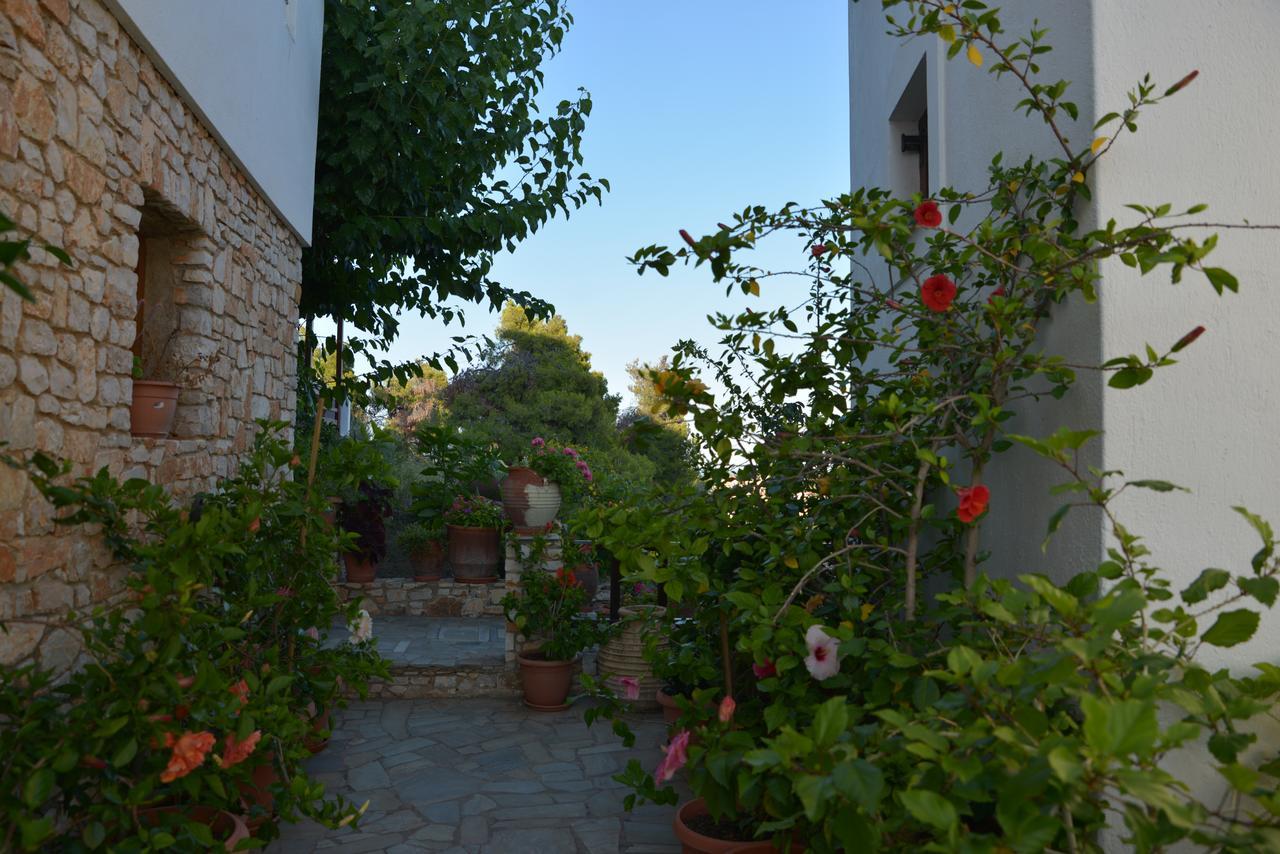 Pension Andromeda Patitiri  Exterior photo